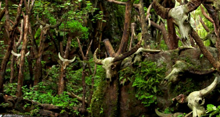 云南最美的22个景点推荐,云南最美的季节和景点