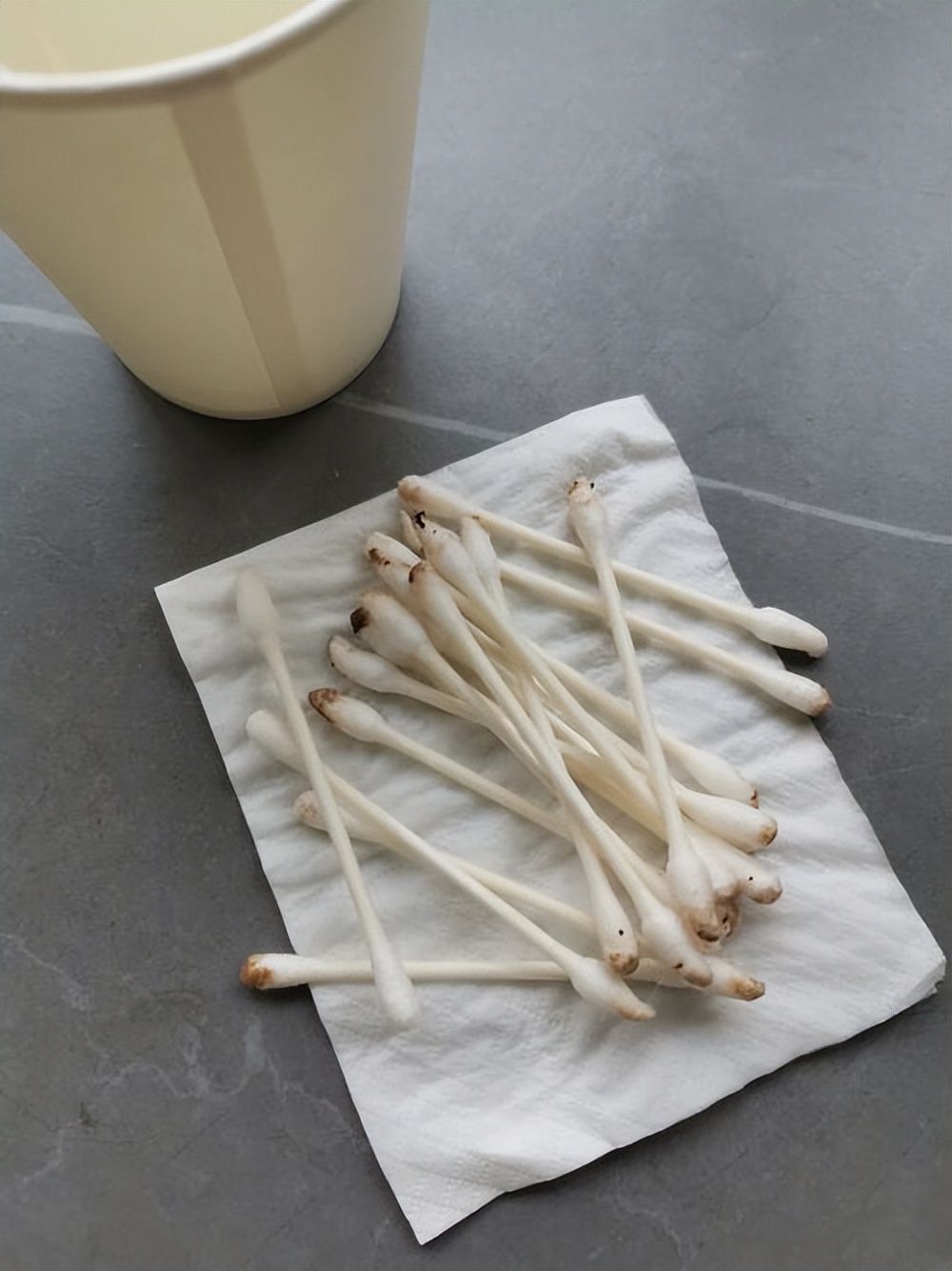 清除猫耳屎的方法,猫耳屎清理的过程