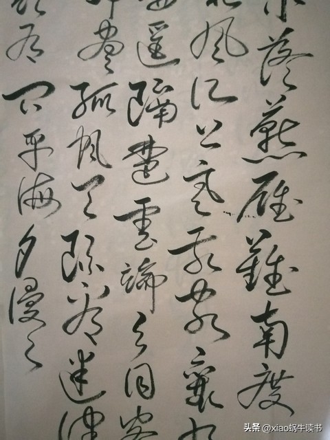 品读古诗词的感悟,感受诗词之美摘抄一篇古诗词