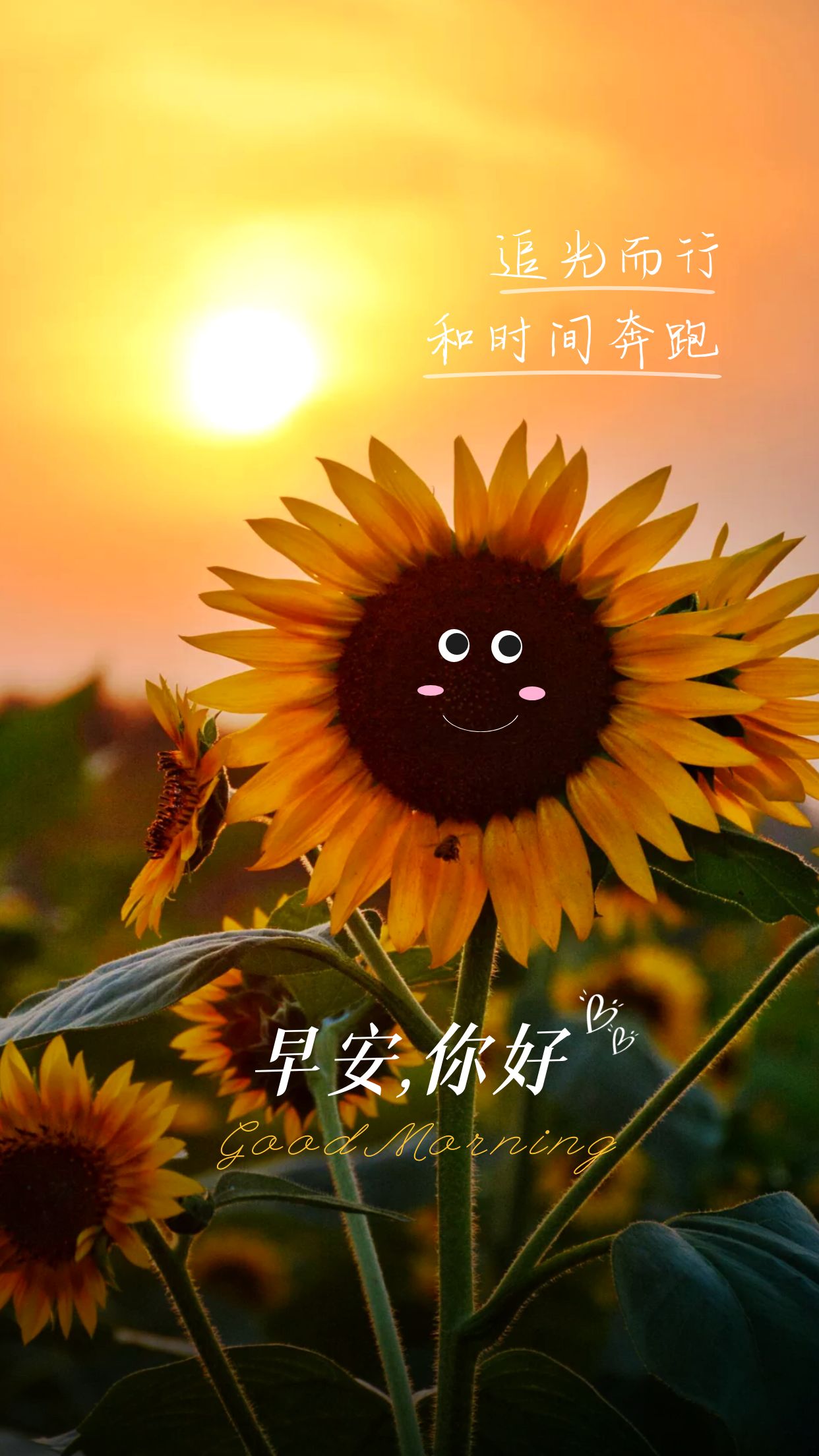 入秋天冷高情商早安语录,早安语录简短正能量天气冷