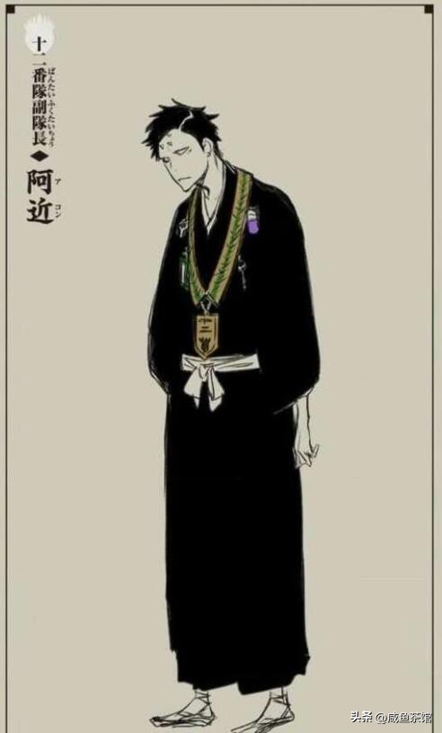 死神bleach副队长卍解合集,死神bleach护庭十番队副队长