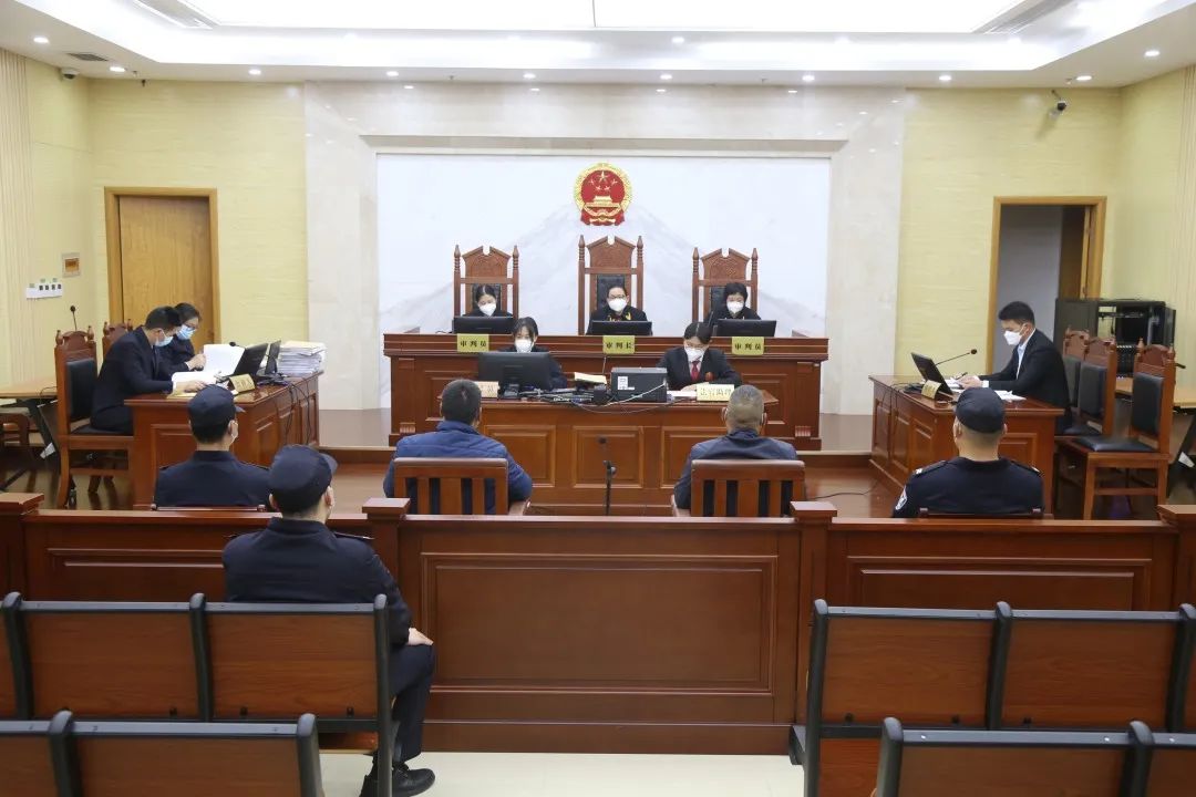 组织7人偷越国境罪定罪量刑,22人涉偷越国境案获刑