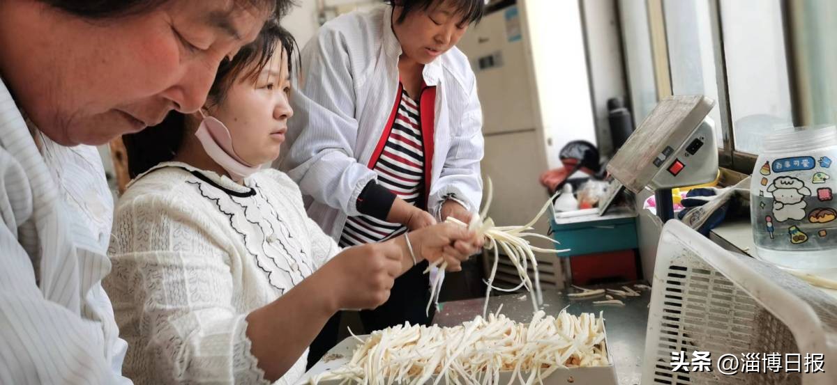 记者观察|合伙人思维为乡村“招贤纳士”！沂源县南鲁山镇创新做法破解乡村振兴发展困局