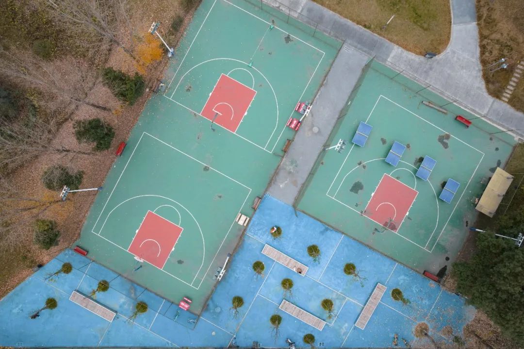 10个城市宝藏,成都还有哪些宝藏公园