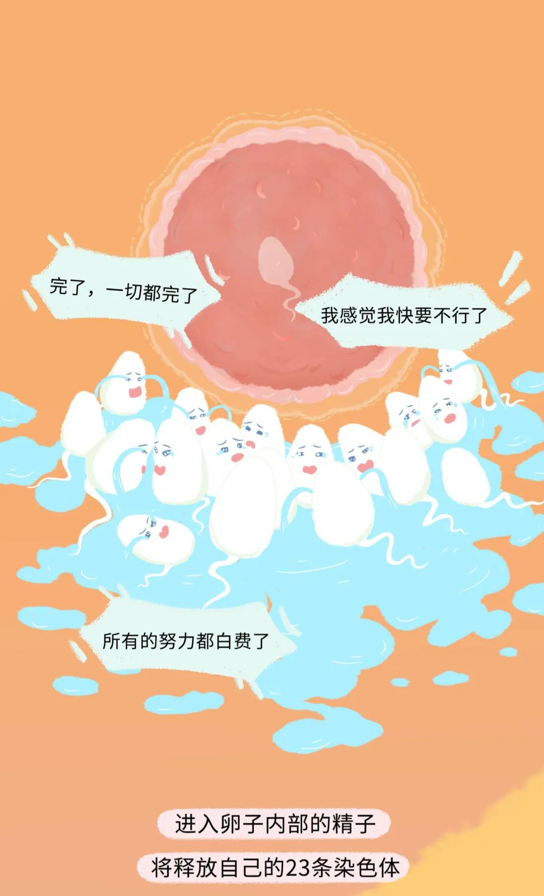 古代女人怀孕了要生宝宝漫画,怀孕的过程讲解漫画