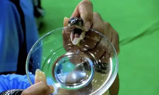 女子靠蛇毒赚50亿,广西女子靠蛇毒身价几十亿