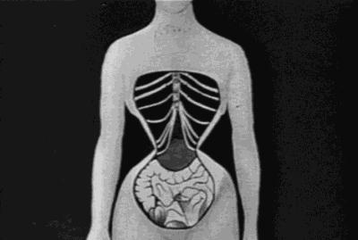 这种人见人爱的身材，获得方式真的很变态