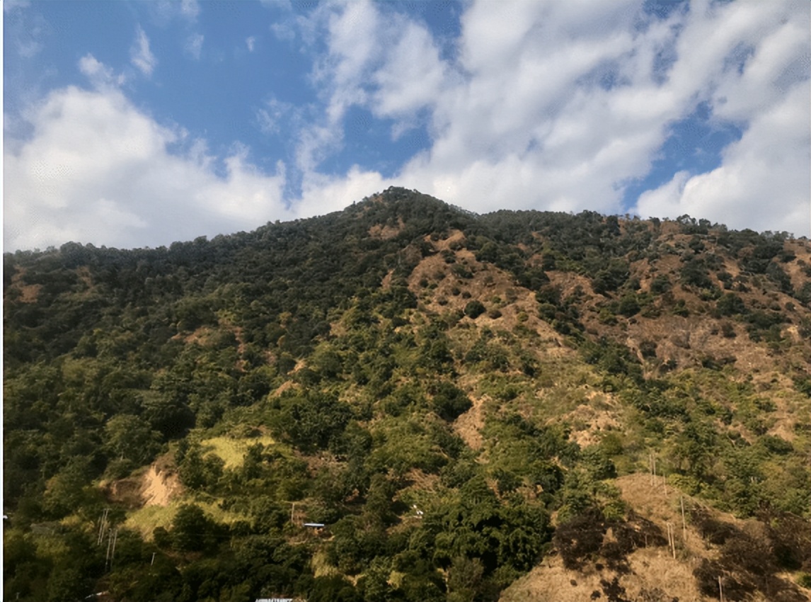 鏁f枃鑸媿,鏁f枃绔欏湪灞遍《閬ユ湜骞冲師