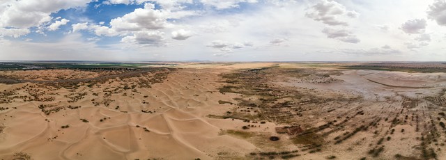 宁夏百年老枸杞,宁夏红枸杞美景