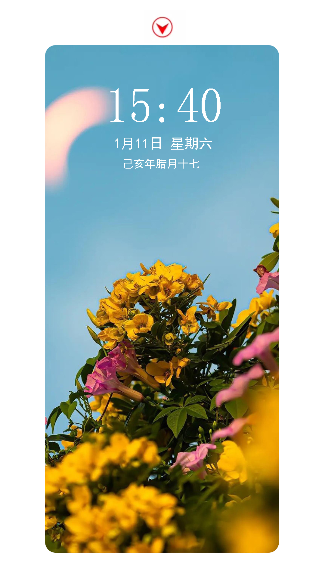 精选优质高清手机壁纸第十七期,好看的手机壁纸分享第二弹