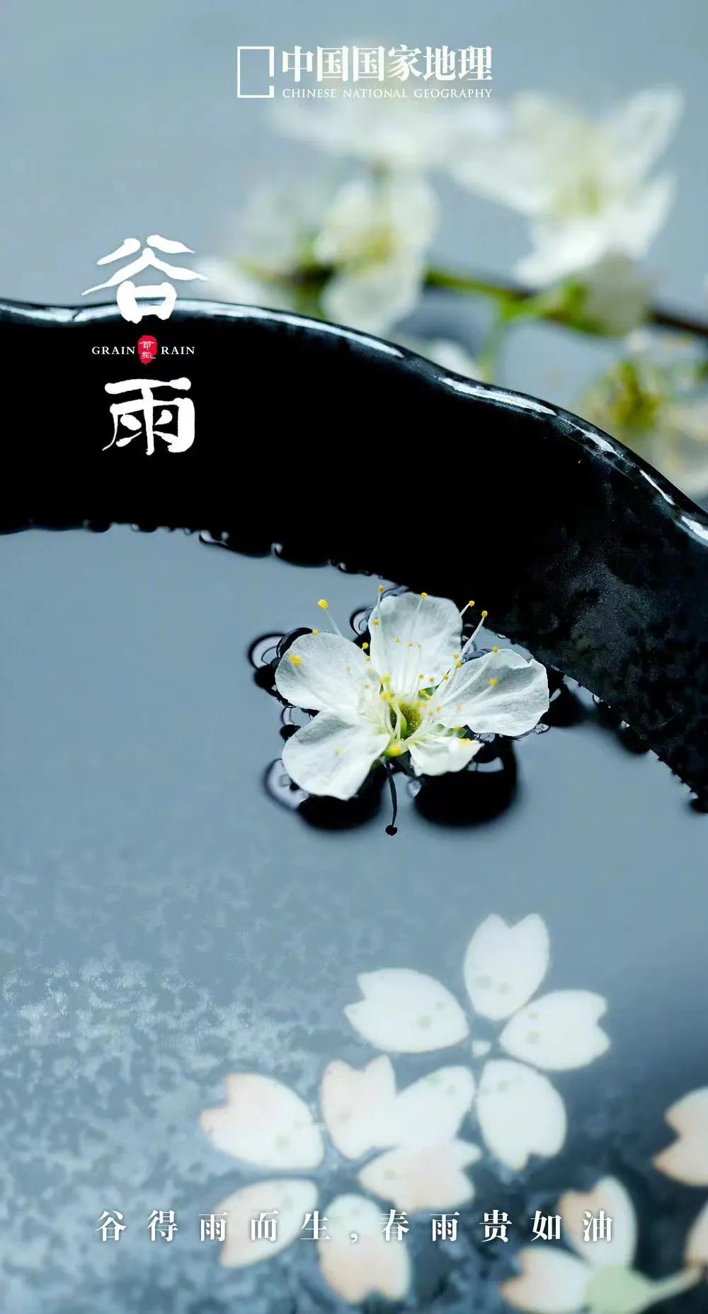 365天最美24节气图诞生惊艳国人,这组24节气图太美了