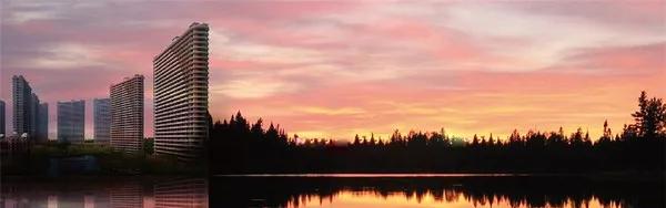 东方山海湾租房,东方山海湾直播