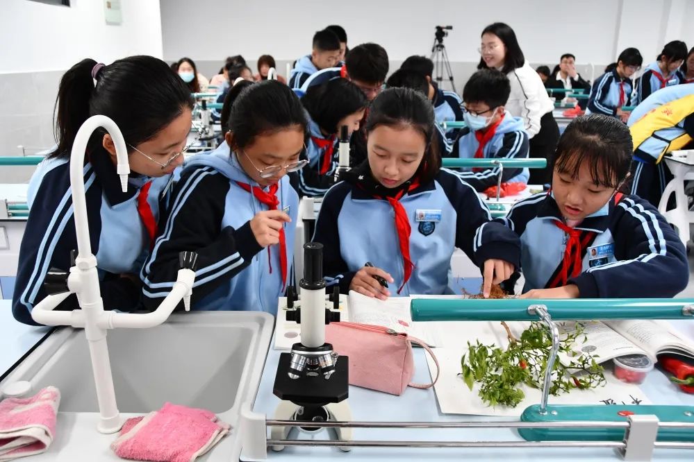 天易中学初中招生简章,天易高级中学在哪里