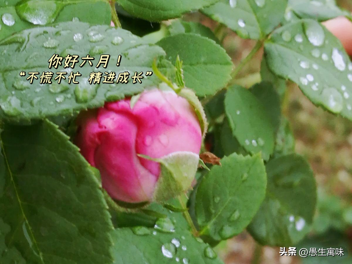 高考是什么时候出成绩,高考是什么感觉