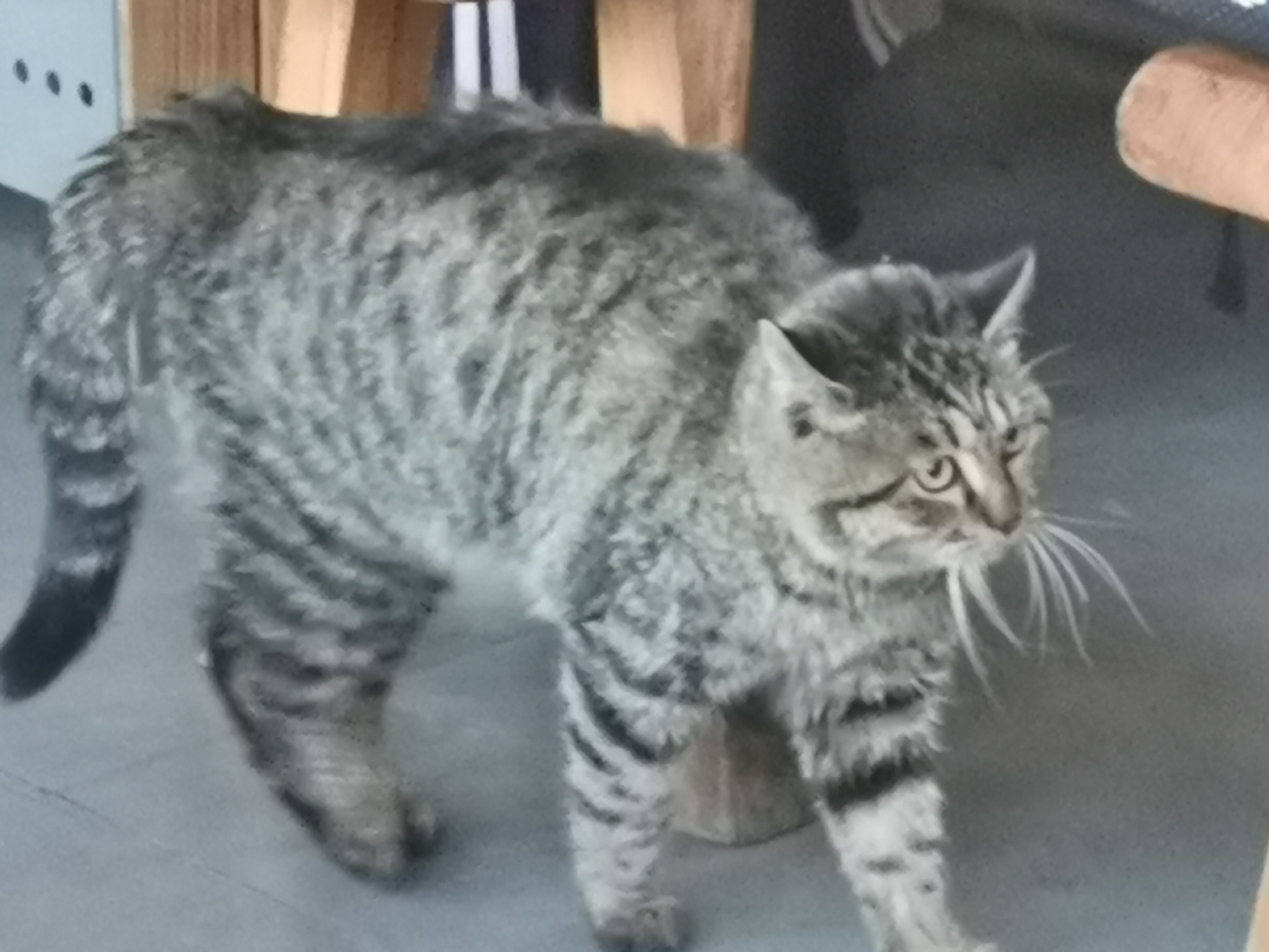 谷山网红打卡,北京谷山村好玩吗