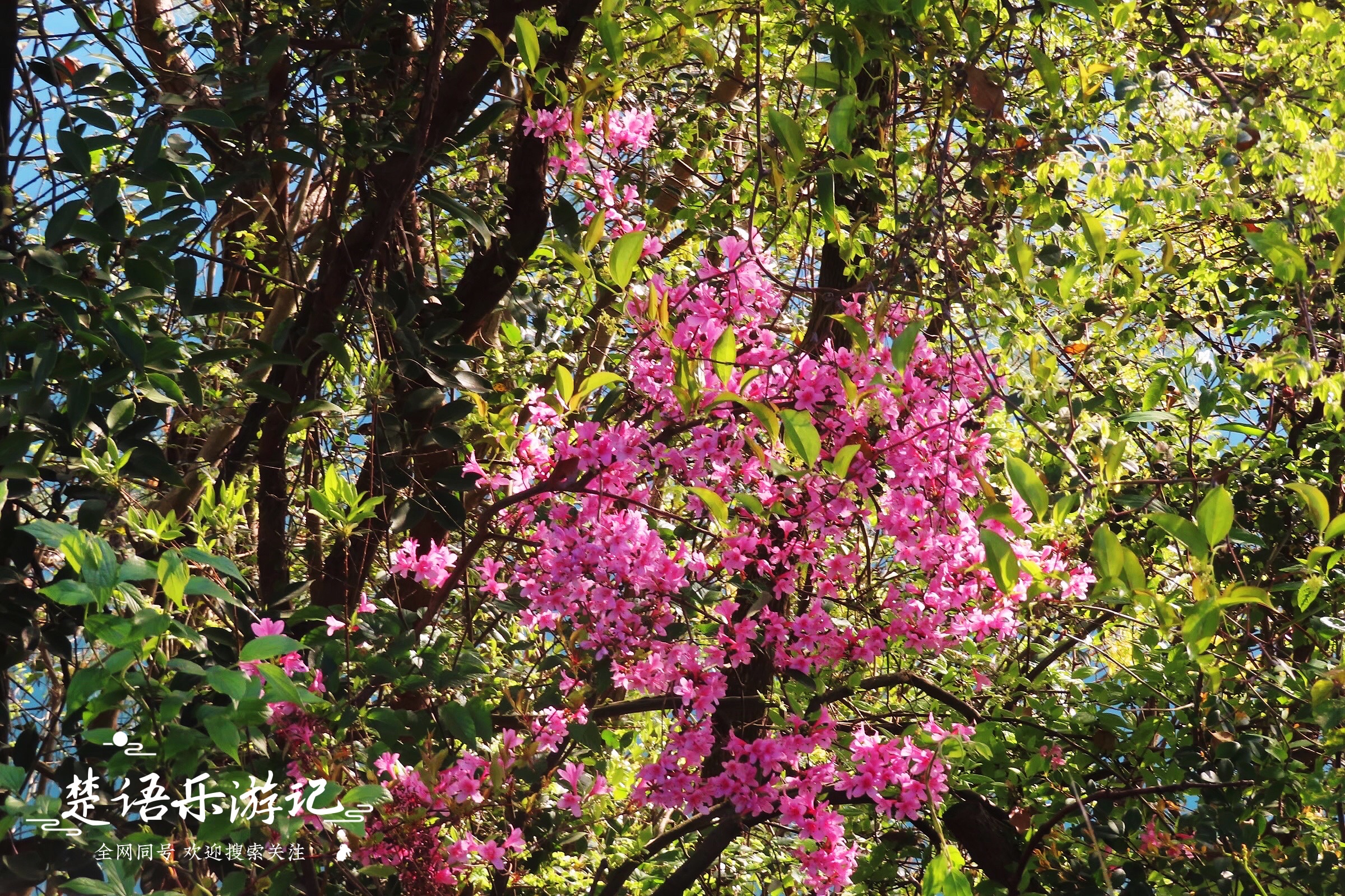 宁波最美古刹,千年古寺风景大全