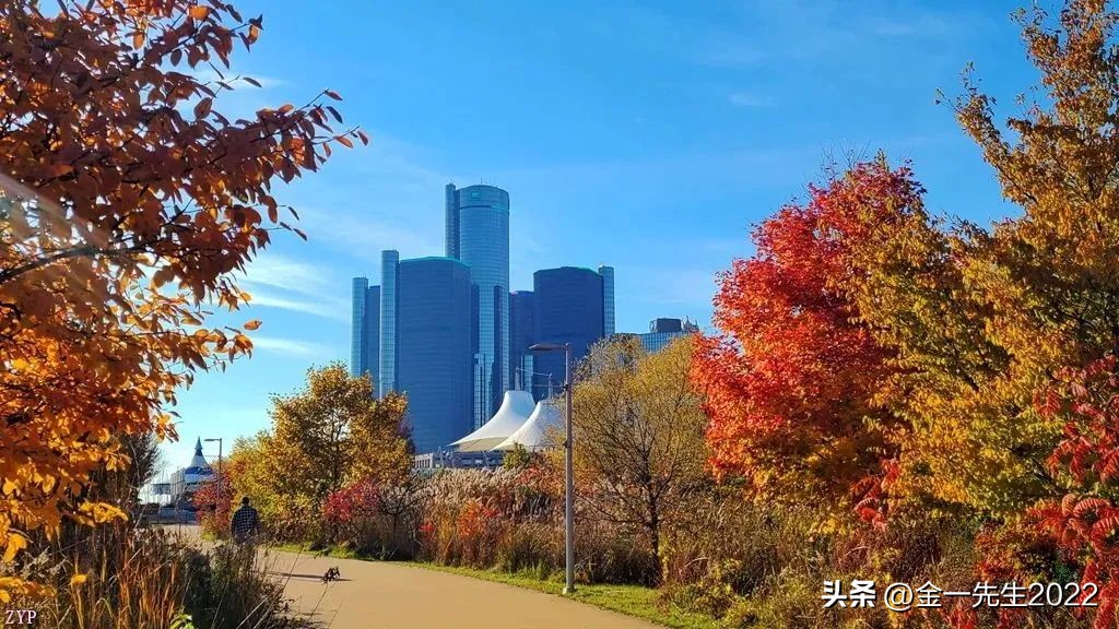 汇率是怎样确定的,汇率是怎样确定的呢