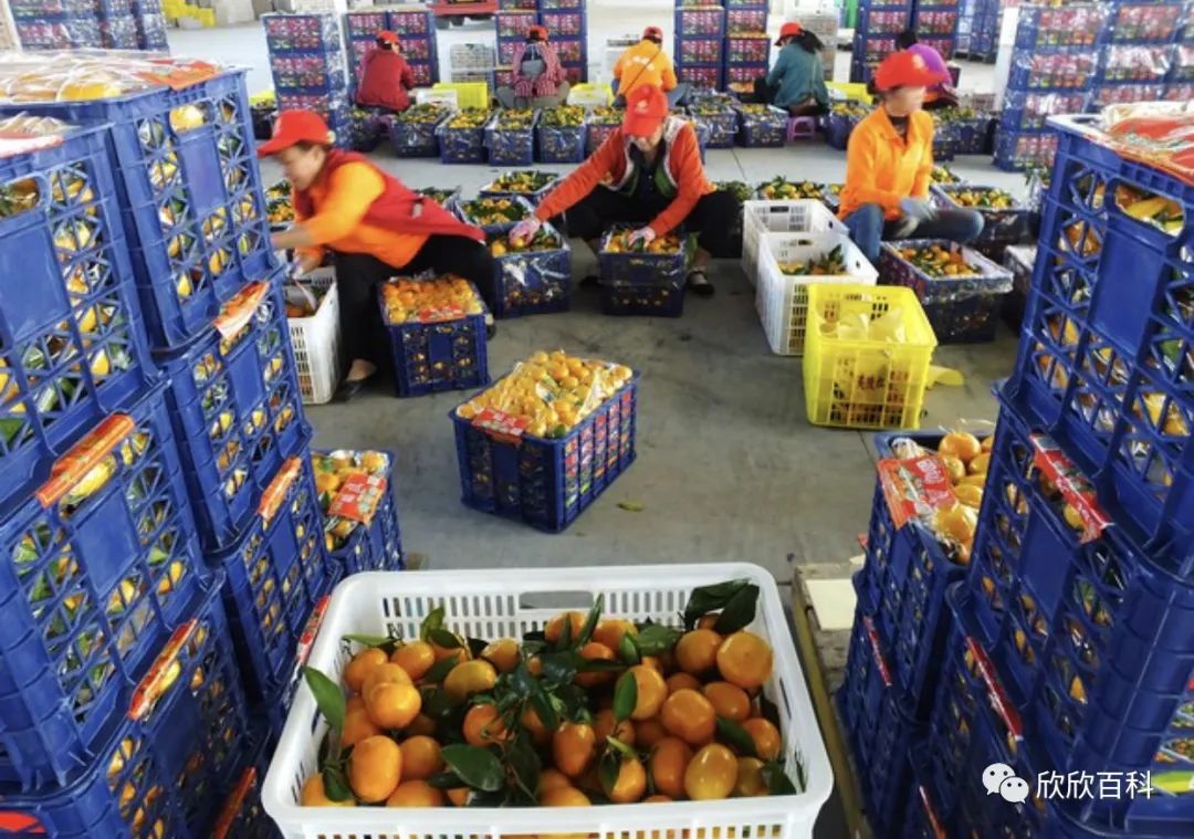 在农村加工什么行业赚钱,在农村挣钱的行业