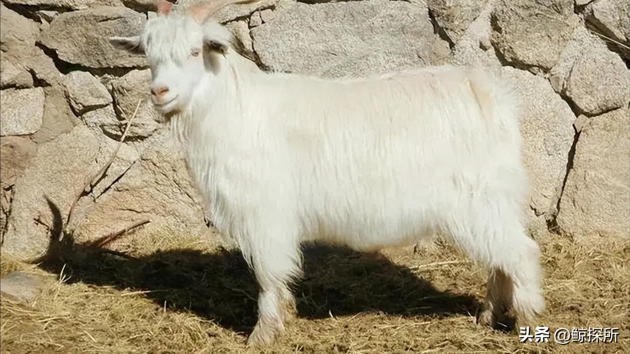 古代很温柔的刑罚,古代刑罚最冰冷的刑罚