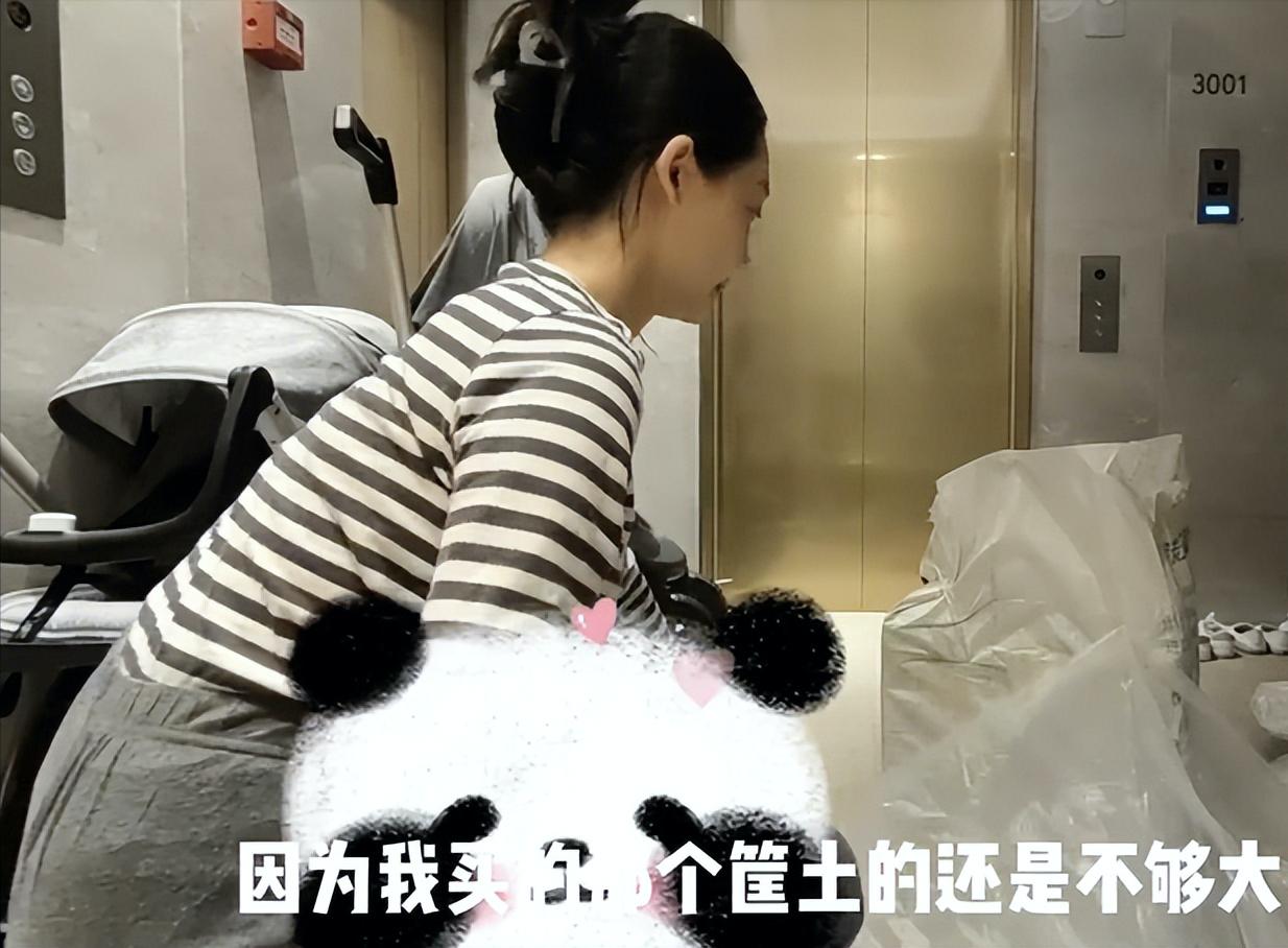 郑恺和妻子最新消息,郑恺老婆和他在一起多久了