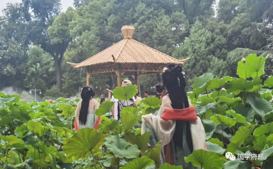 世说新语名言感悟,世说新语经典语录免费阅读