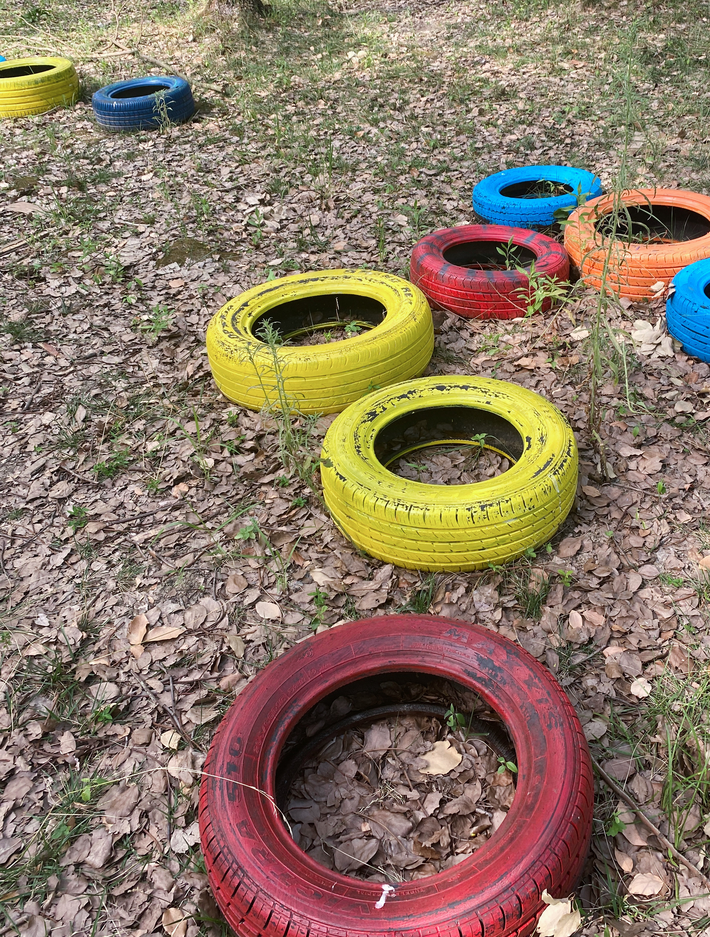 苏州树间跳动森林探险乐园介绍,苏州树间跳动探险乐园