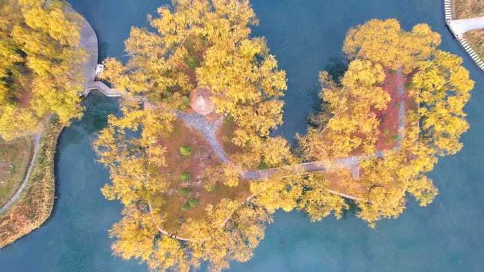 深秋的济南趵突泉公园五彩斑斓,济南趵突泉泉水欢涌游人如织