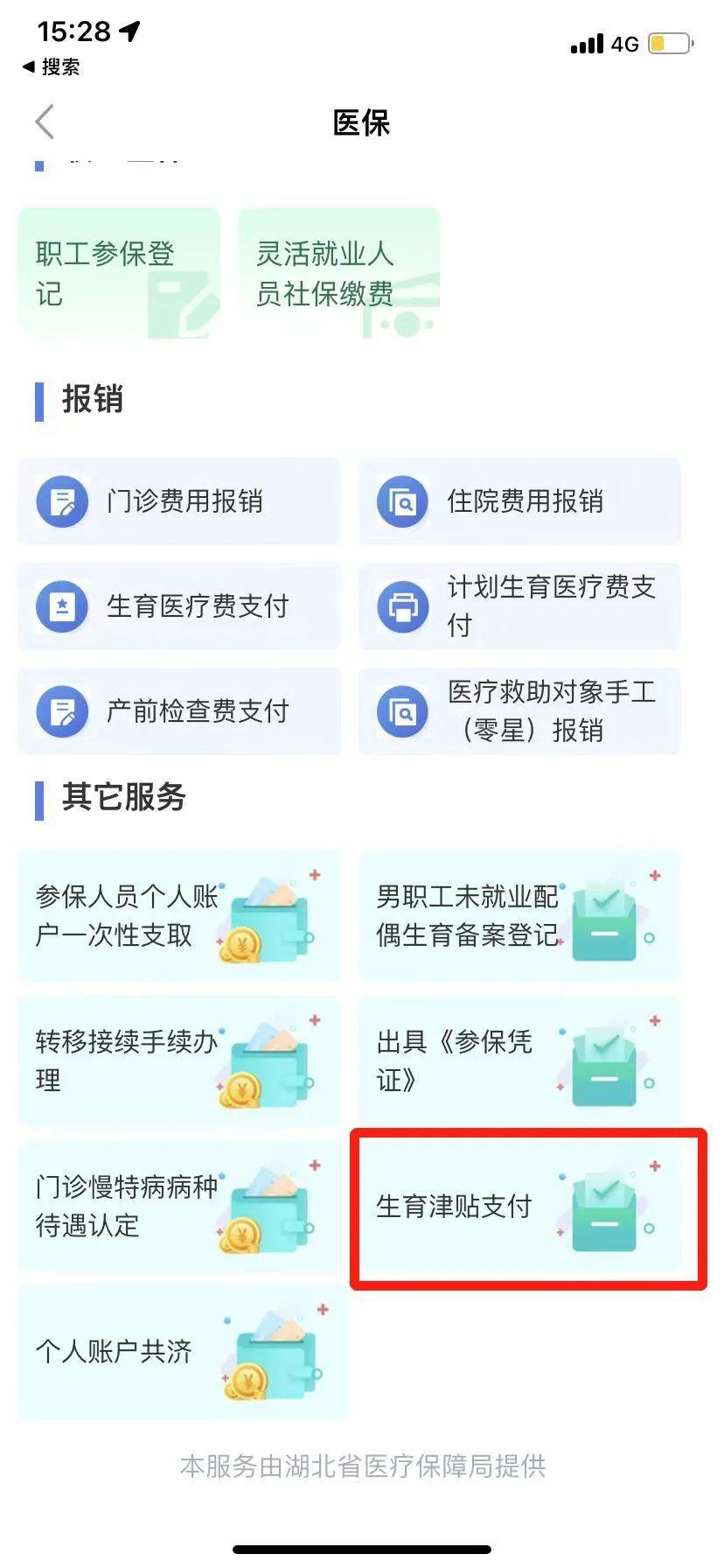 生育有哪些需要咨询的,网上申请生育登记还需要什么材料