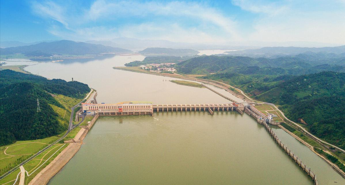 长江出现神秘物种“鳤”,长江禁渔出现新物种