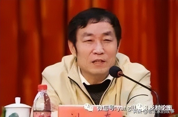 下乡知青刘奇的故事,刘奇商业新思维