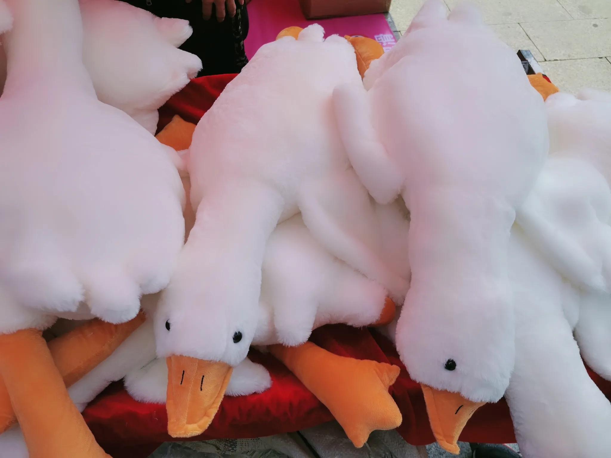 广州美食节有什么景点推荐,广州樱花观赏旅游攻略