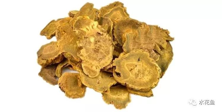 12种水产病害防治,你对水产动物病害的初步认识