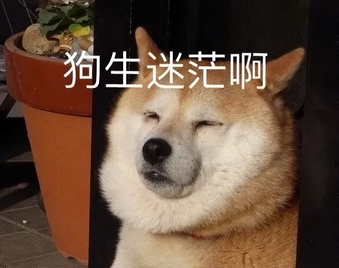 24岁的大专学历没有前途,24岁大专生一事无成很迷茫怎么办