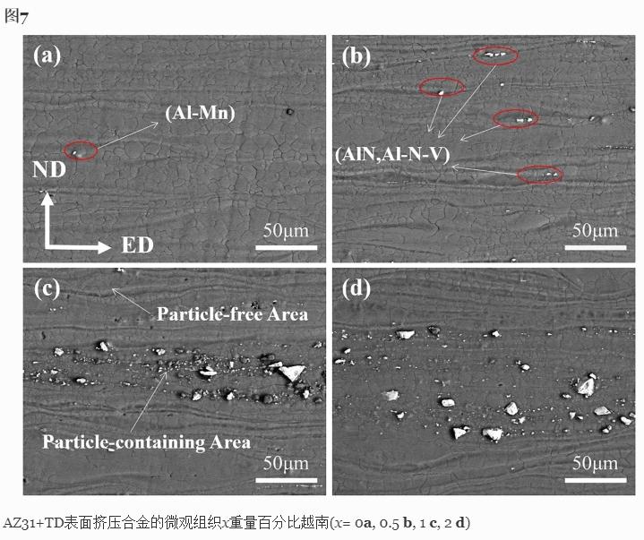 氮化钒颗粒对挤压态AZ31镁合金组织和力学性能的影响