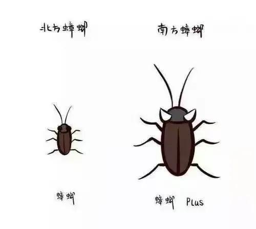 南方人和北方人本源区别，长文多角度分析非快餐