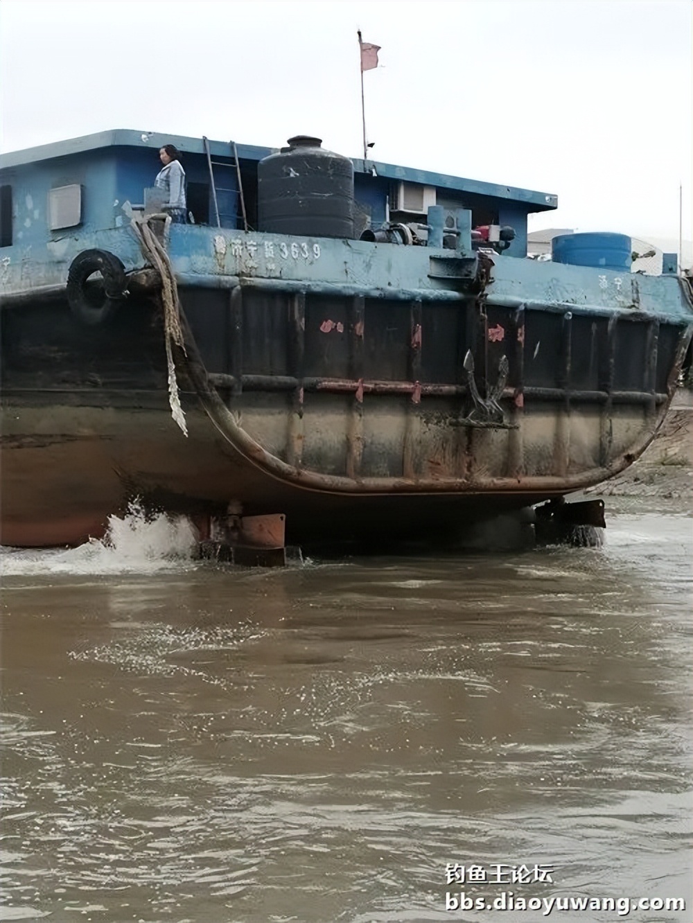 钓鱼王大鲫饵料是什么香味,钓鱼王大鲫和本味有什么区别