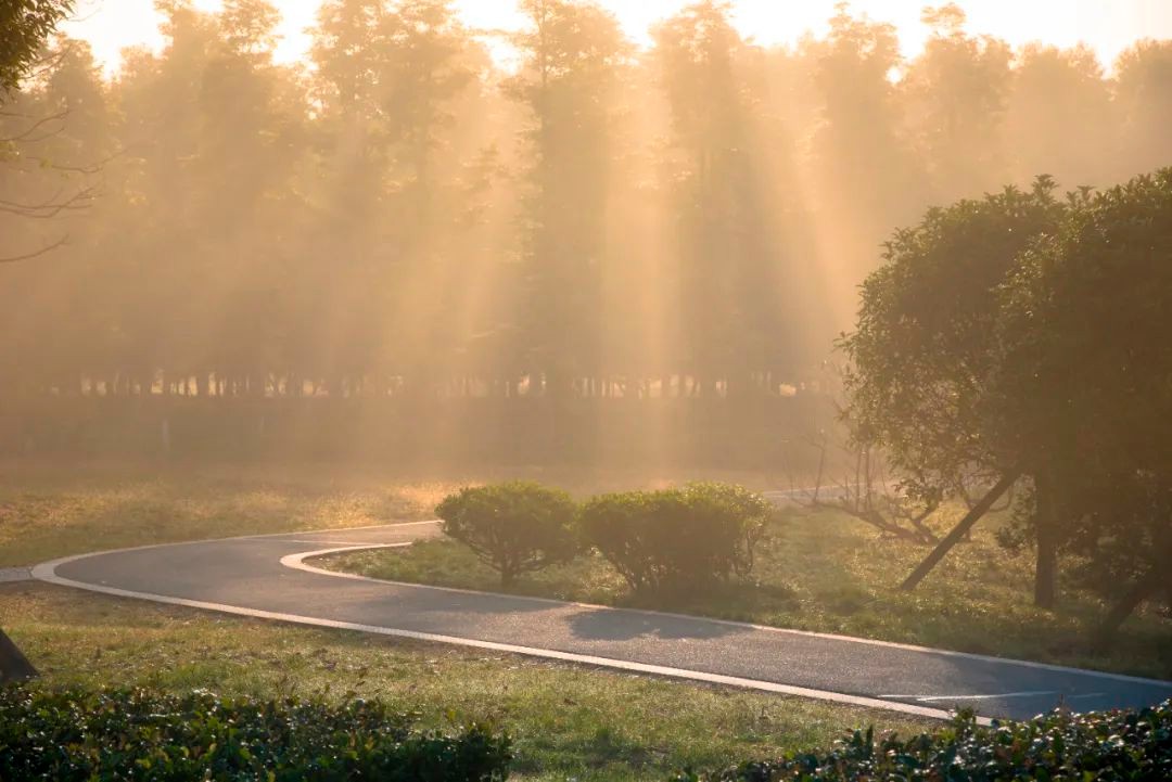 美美美，在阳光灿烂的成电遇见你~
