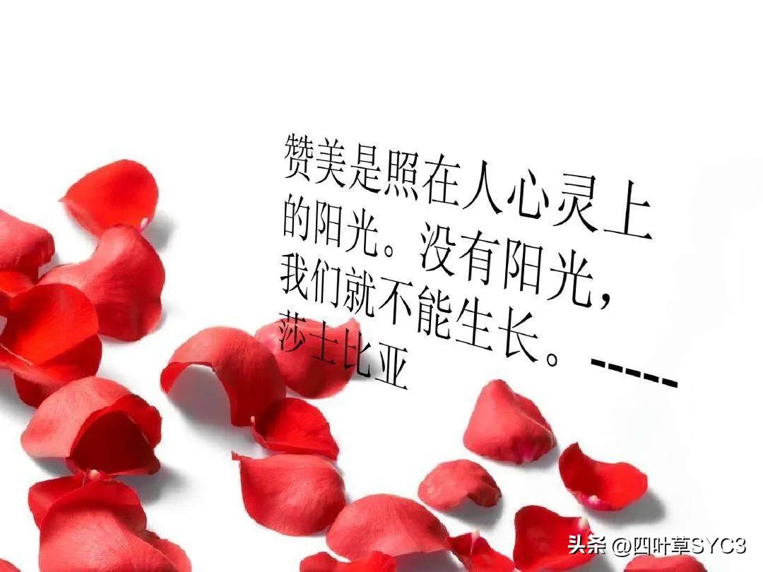 中国人的嫉妒心理,如何应对嫉妒心