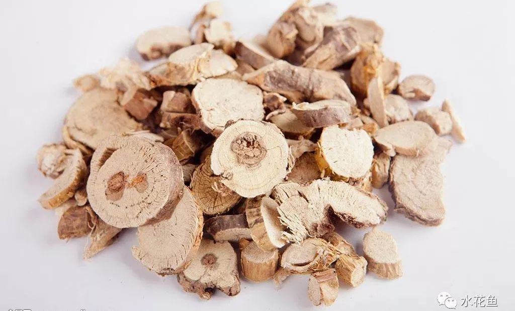 12种水产病害防治,你对水产动物病害的初步认识