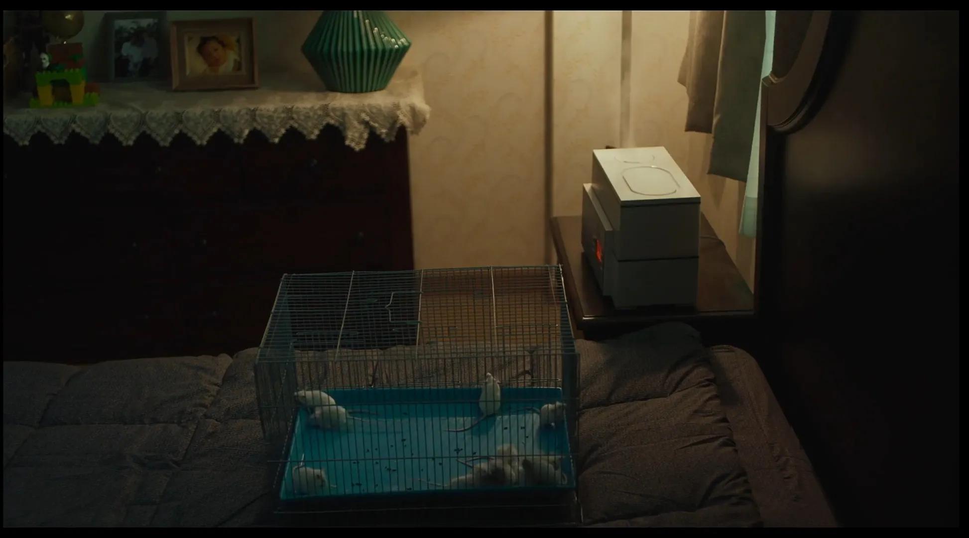 韩国加湿器杀人事件结果,韩国加湿器杀人事件调查