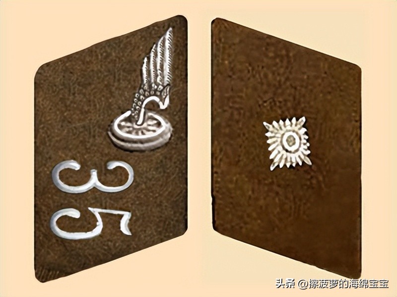 纳粹冲锋队用的什么枪,纳粹德军军衔图解