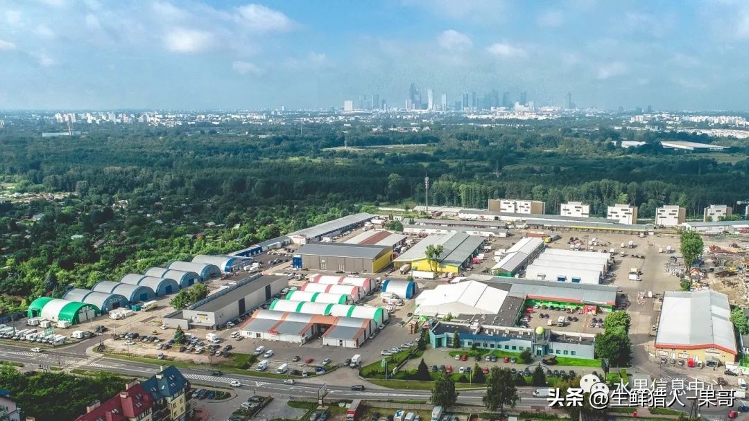 世界第一果蔬批发市场,中国十大果蔬批发市场