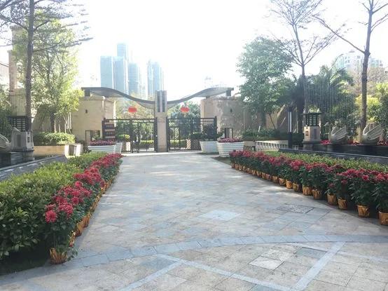 福田香蜜湖天御香山,香蜜湖楼盘天御香山