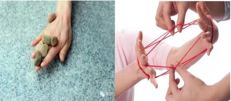 河柳拼音,河柳图