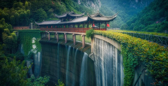 2018到2020年网络热词,从2018年到2020年的网络热词