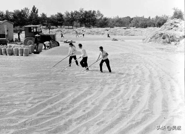 70年代一辆凤凰牌自行车,凤凰牌旧自行车值多少钱一辆