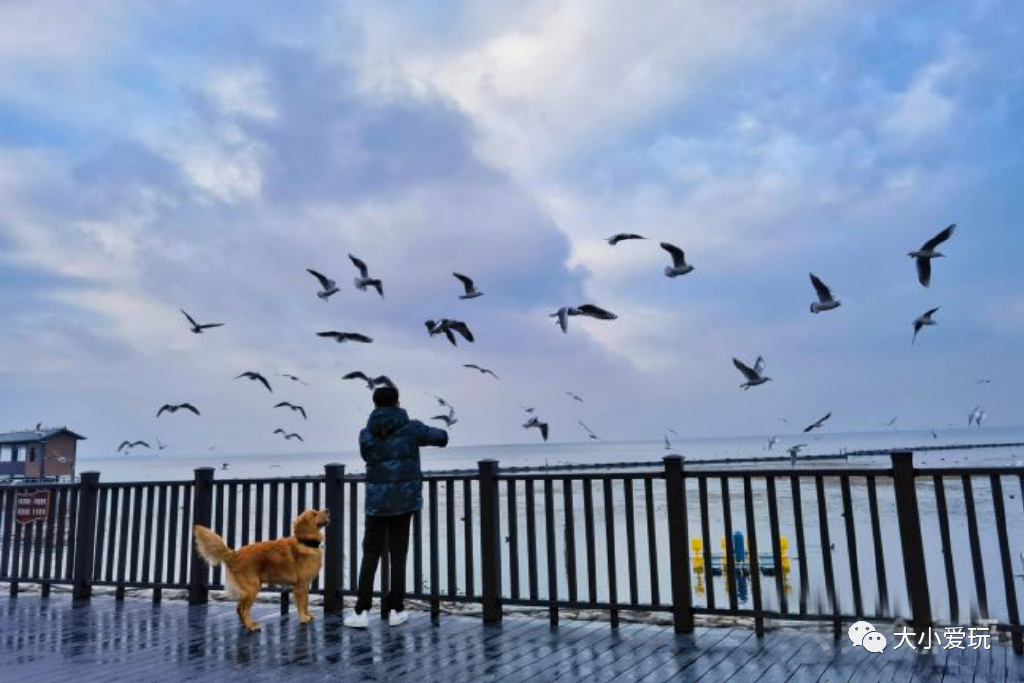 南方看海北方看雪,亲子旅行看雪