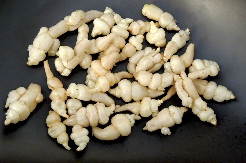 茎菜类蔬菜大全，你全吃过吗？