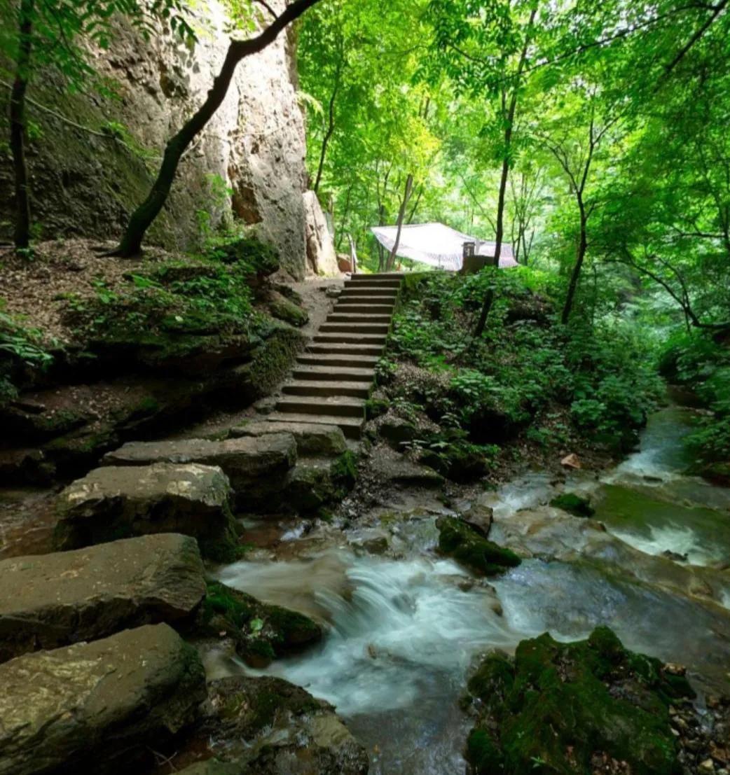 重渡沟音乐完整版,重渡沟菩提树