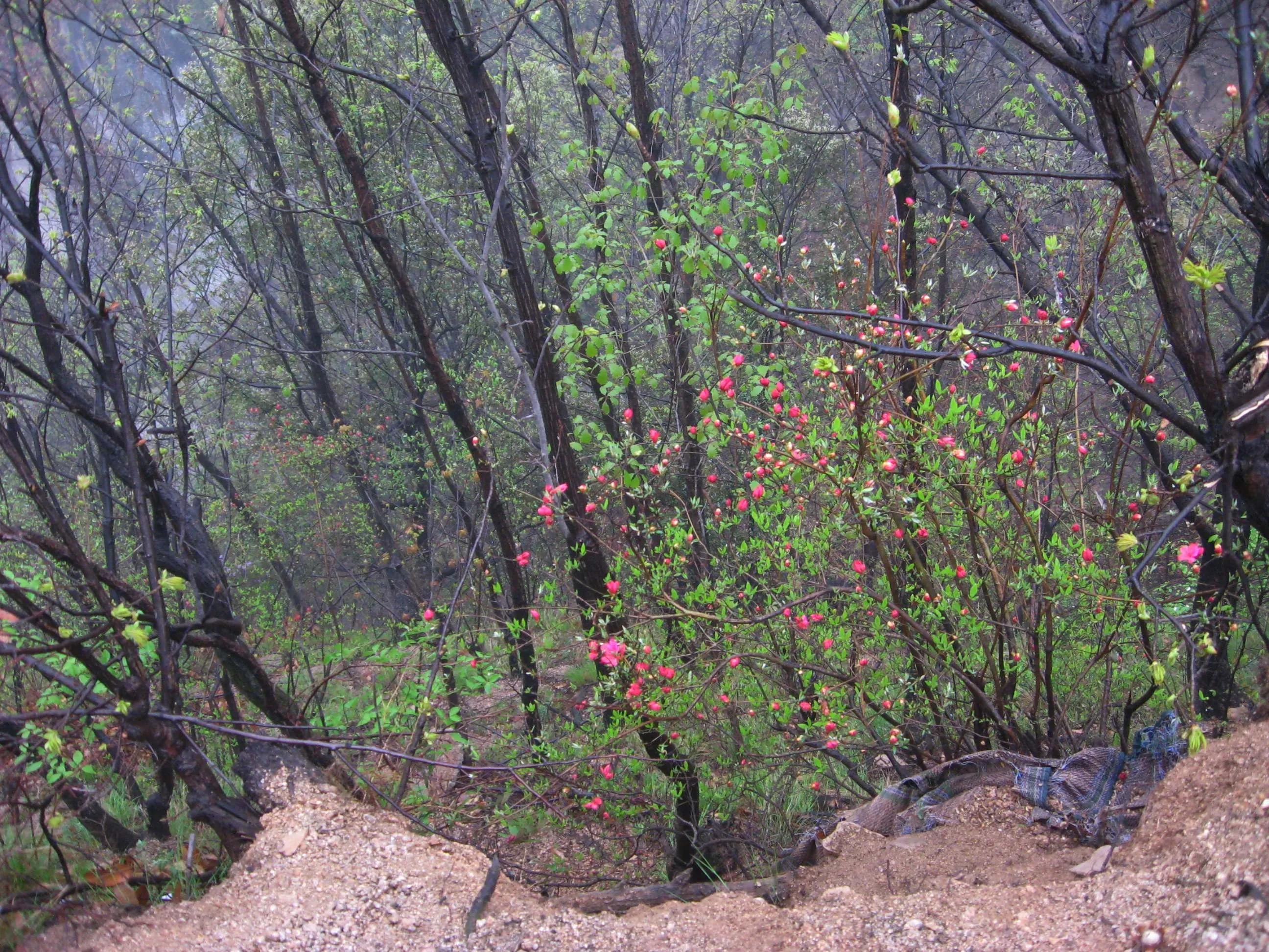 我的驴行日记黑龙潭采摘,我的户外驴行日记